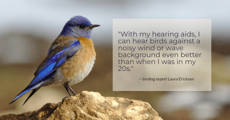  A quote about the importance of hearing aids for birdwatching.