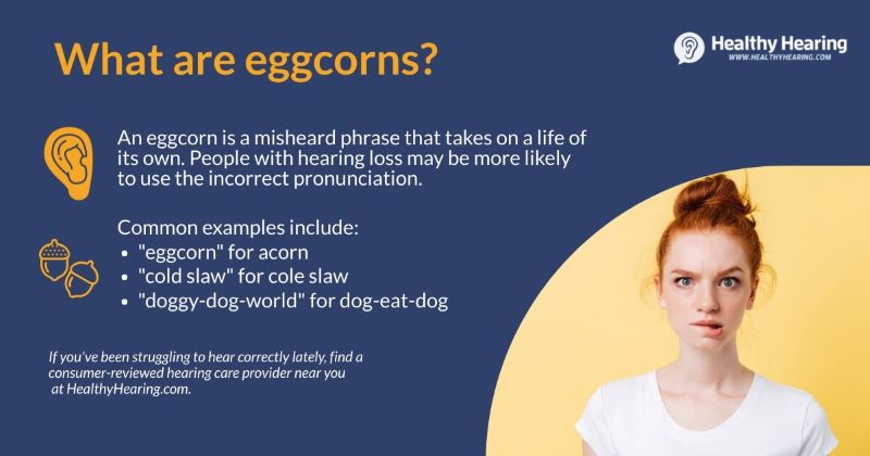 Infographic explaining what eggcorns are, or commonly misheard words.