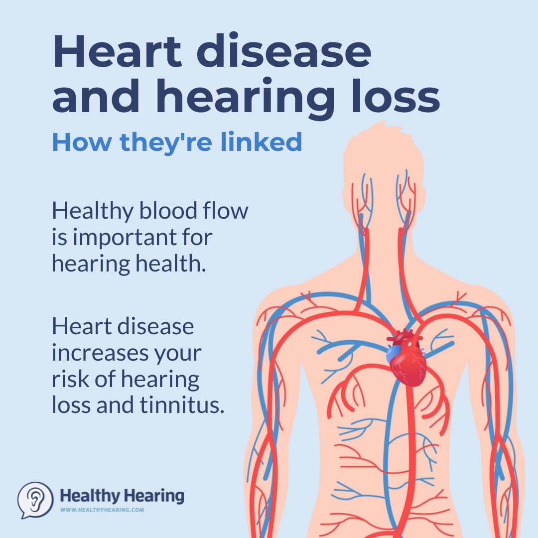 Infographic explaining the link between heart health and hearing health. 